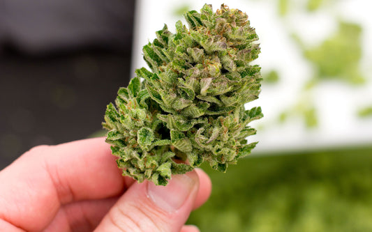 Does smoking weed slow hair growth?
