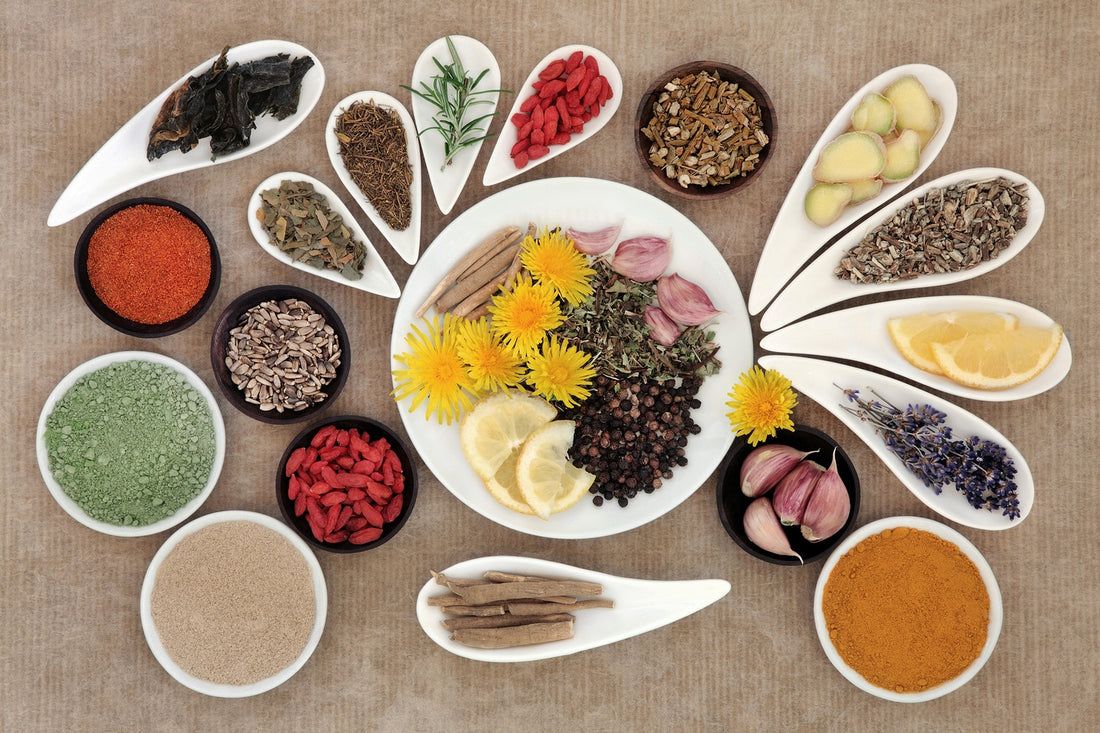 What is Traditional Chinese Medicine (TCM)?